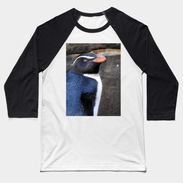 Fiordland Penguin Baseball T-Shirt by kirstybush